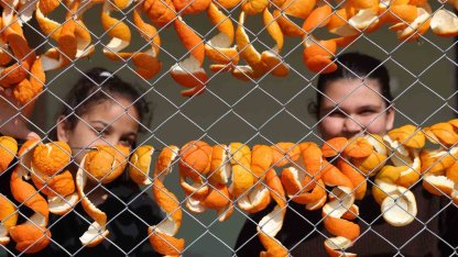 Limon ve turunç kabukları kadınların elinde değerleniyor