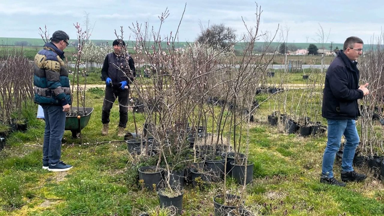 Lüleburgaz’da fidan satış noktalarına denetim