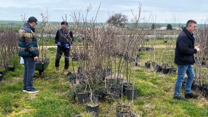 Lüleburgaz’da fidan satış noktalarına denetim