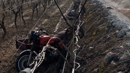 Manisa’da sepetli motosiklet üzüm bağına uçtu: 1 ölü