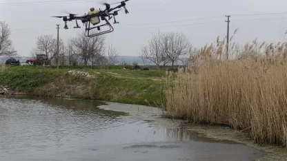 Manyas’ta sivrisinek ile mücadele seferberliği