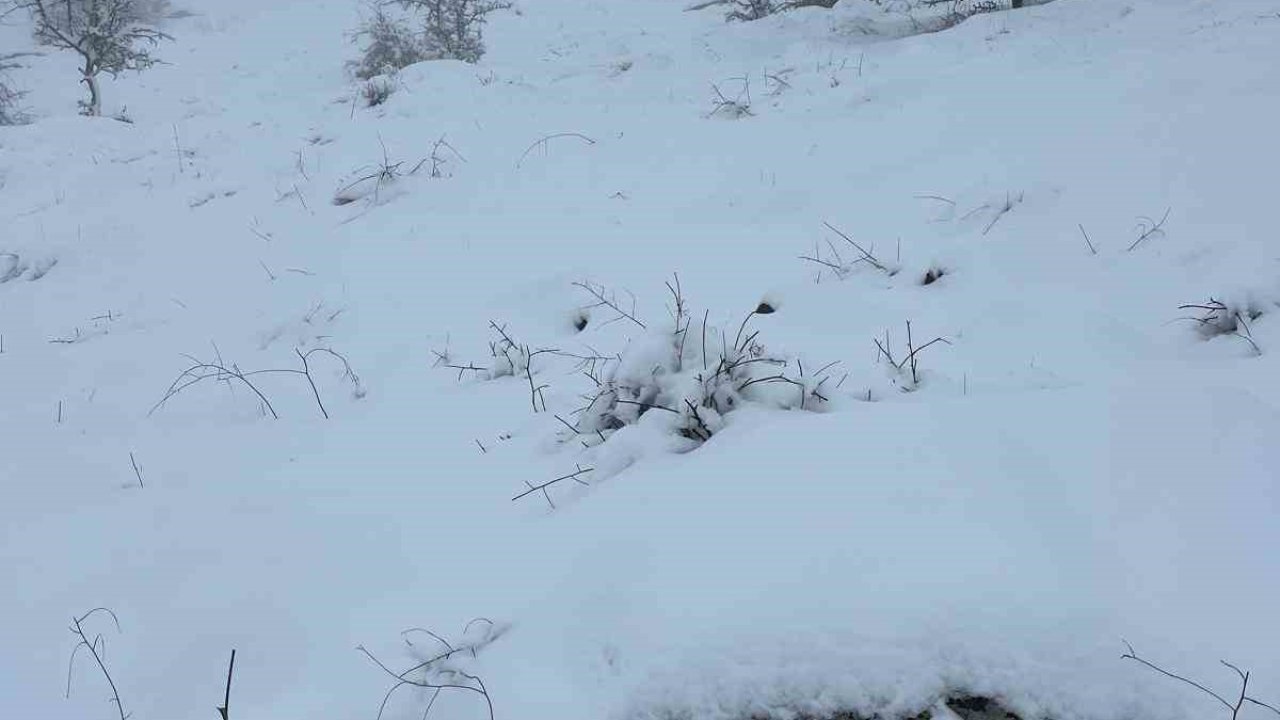 Mart sonunda Karıncalı Dağ’da kar sürprizi