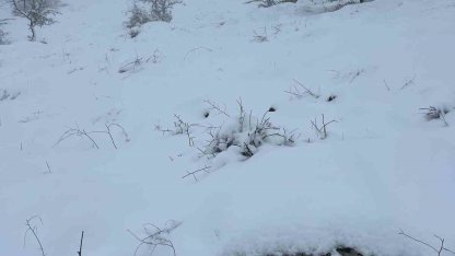 Mart sonunda Karıncalı Dağ’da kar sürprizi