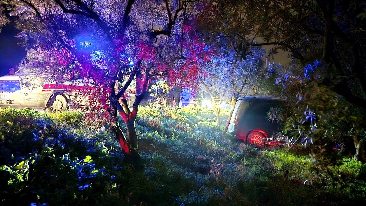 Mudanya’da kazadan kaçan sürücü zeytinliğe daldı