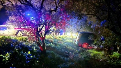 Mudanya’da kazadan kaçan sürücü zeytinliğe daldı