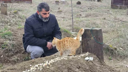 Muş’ta 9 gün önce öldürülen adamın kedileri mezarının başından ayrılmıyor