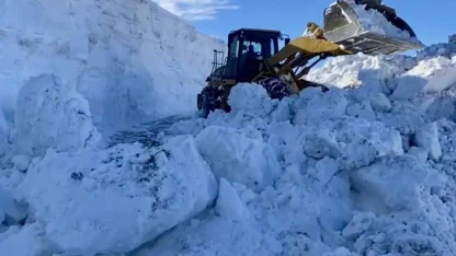 Muş’ta mahsur kalan vatandaşlar kurtarıldı