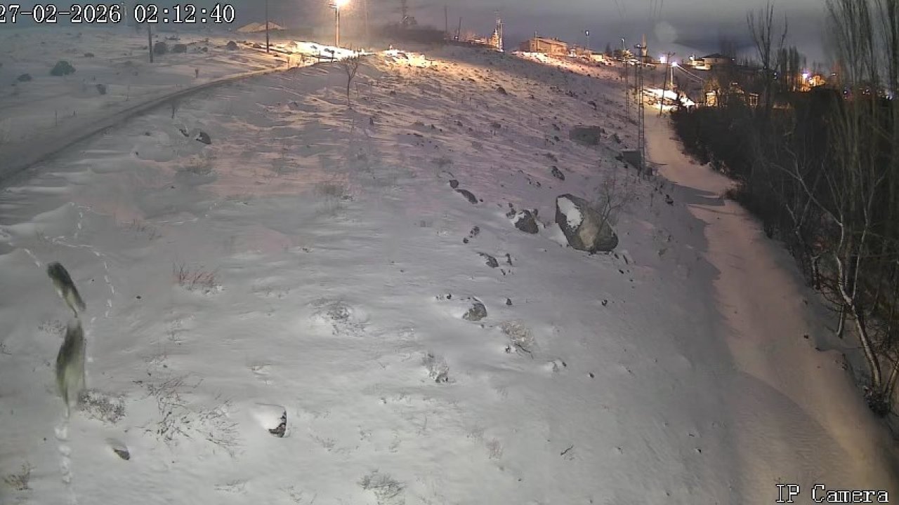 Niğde’de aç kalan kurtlar köye indi