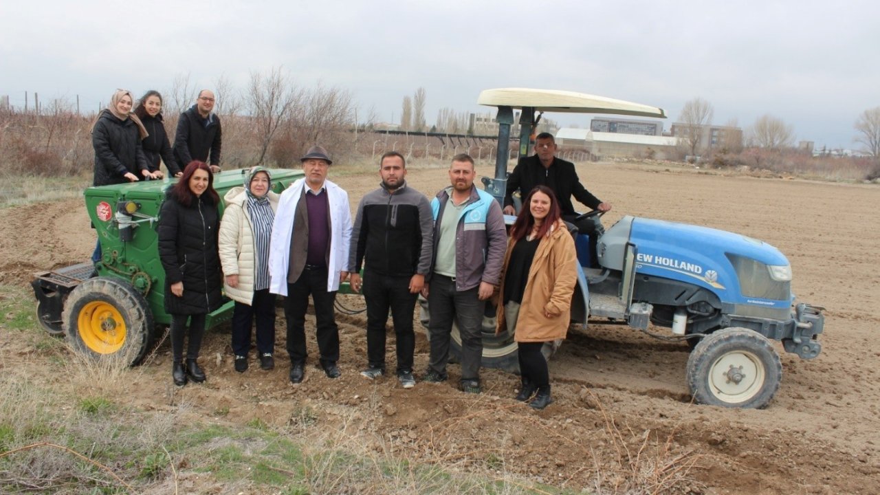Niğde’de kadın kooperatifleriyle çörek otu ekimi tamamlandı