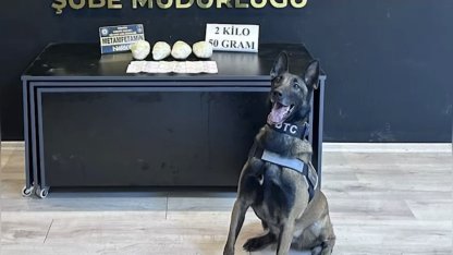 Ocak ayının en başarılı narkotik köpeği "Jardi" oldu