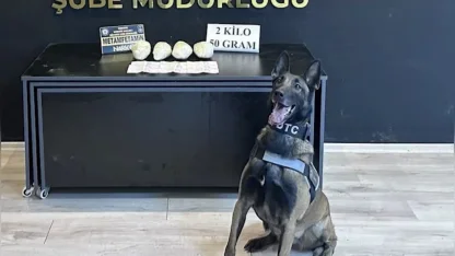 Ocak ayının en başarılı narkotik köpeği "Jardi" oldu