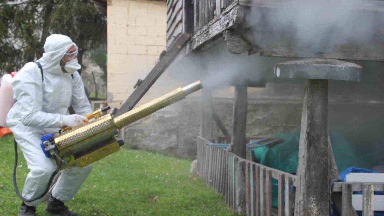Ordu’da kahverengi kokarca ile kışlak mücadelesi: 330 bin noktadan 190 bini ilaçlandı
