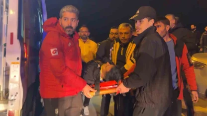 Otomobil önce direğe sonra duvara çarptı: 1 yaralı