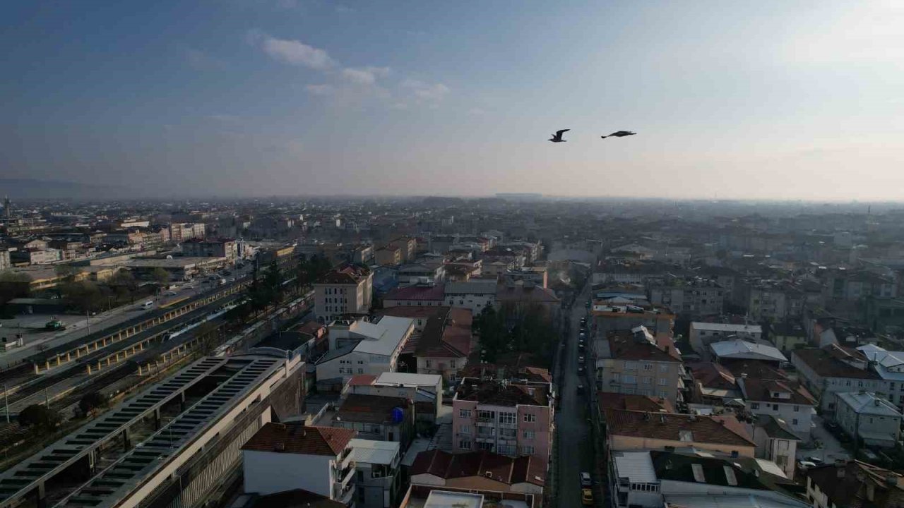 Sakarya’da aynı anda iki mevsim yaşanıyor