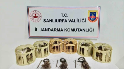 Şanlıurfa’da kaçak keklik avcıları suçüstü yakalandı
