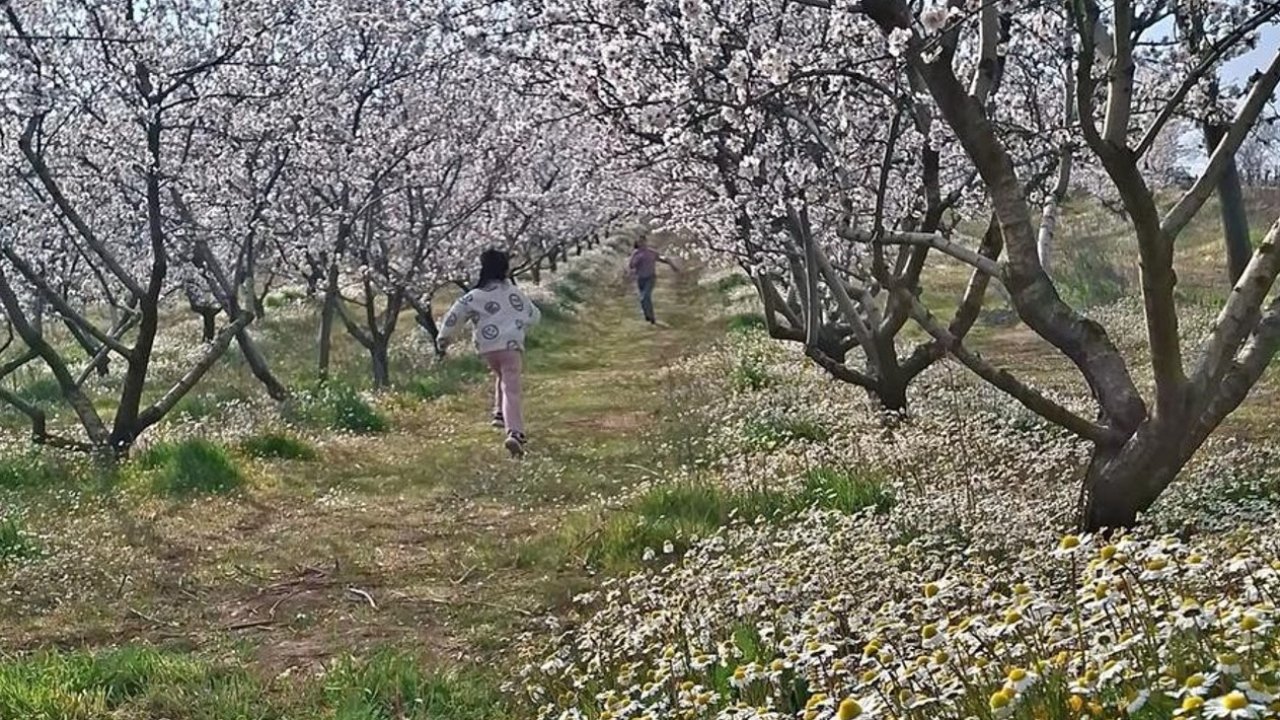 Sarıgöl’de kartpostallık manzara