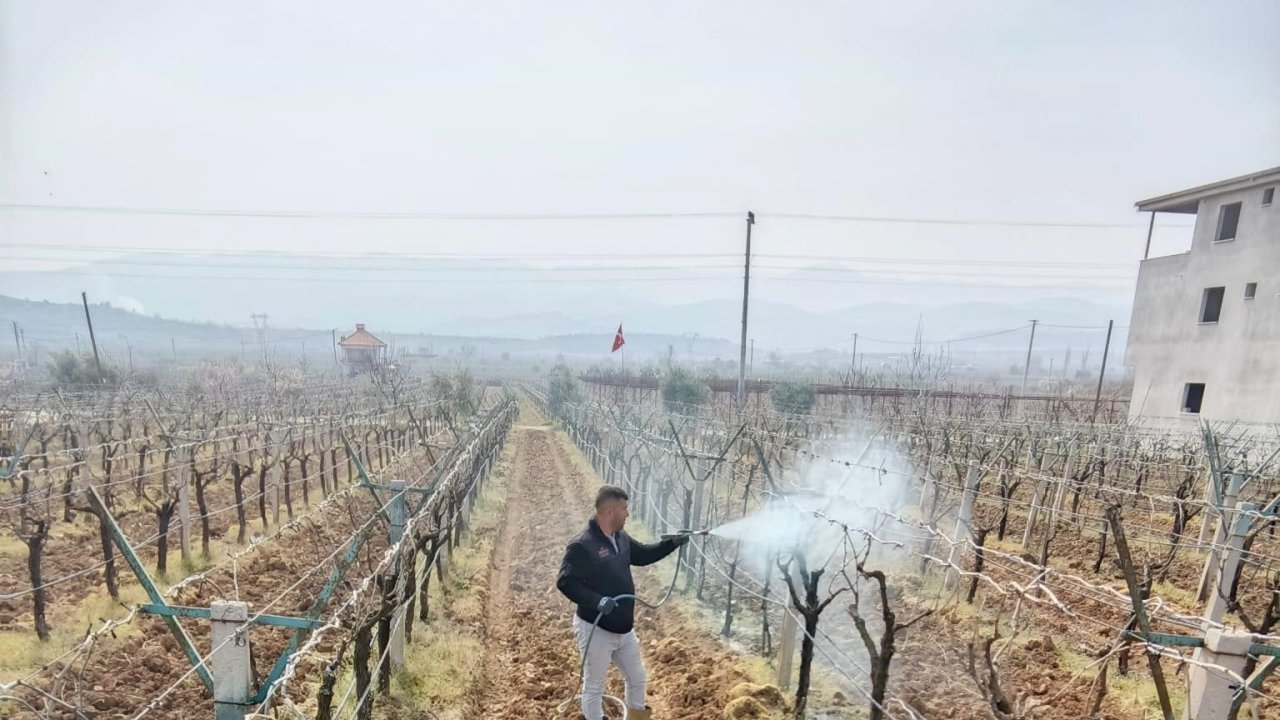 Sarıgöl’de ölü kol hastalığıyla mücadele başladı