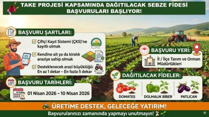 Siirt Tarım ve Orman Müdürlüğünden sebze fidesi başvurusu uyarısı