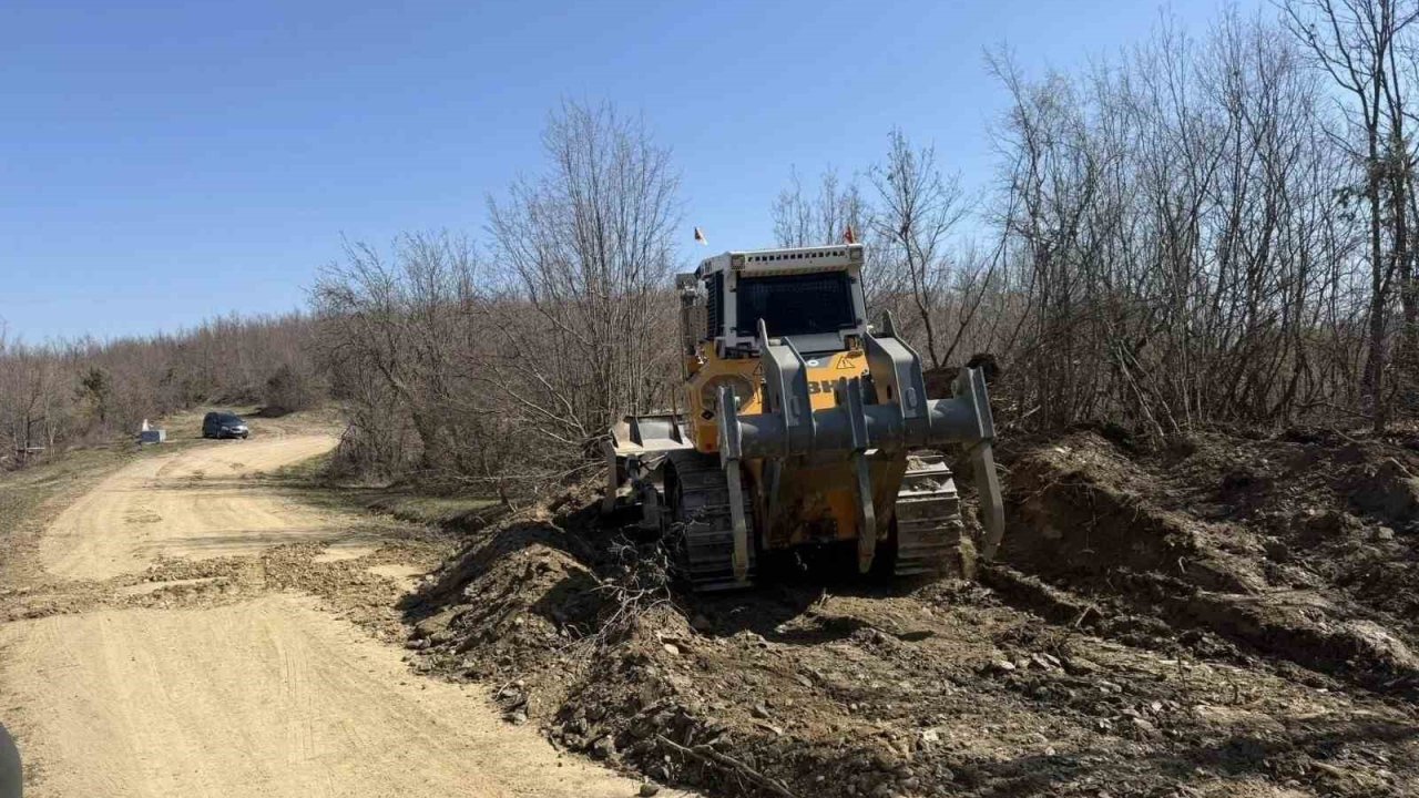 Sinop’a yeni orman nakliye güzergahı