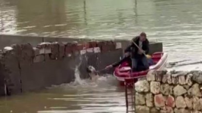 Su taşkınında evde mahsur kalan köpek, vatandaşların bindiği botla kurtarıldı