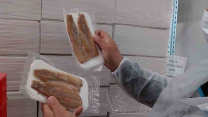 Su ürünleri üretimi yapılan tesislerde denetim