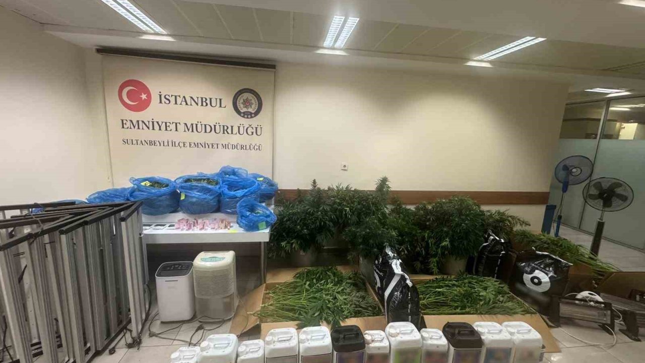 Sultanbeyli’de kenevir serasına baskın: 21 kilo Hint keneviri ele geçirildi