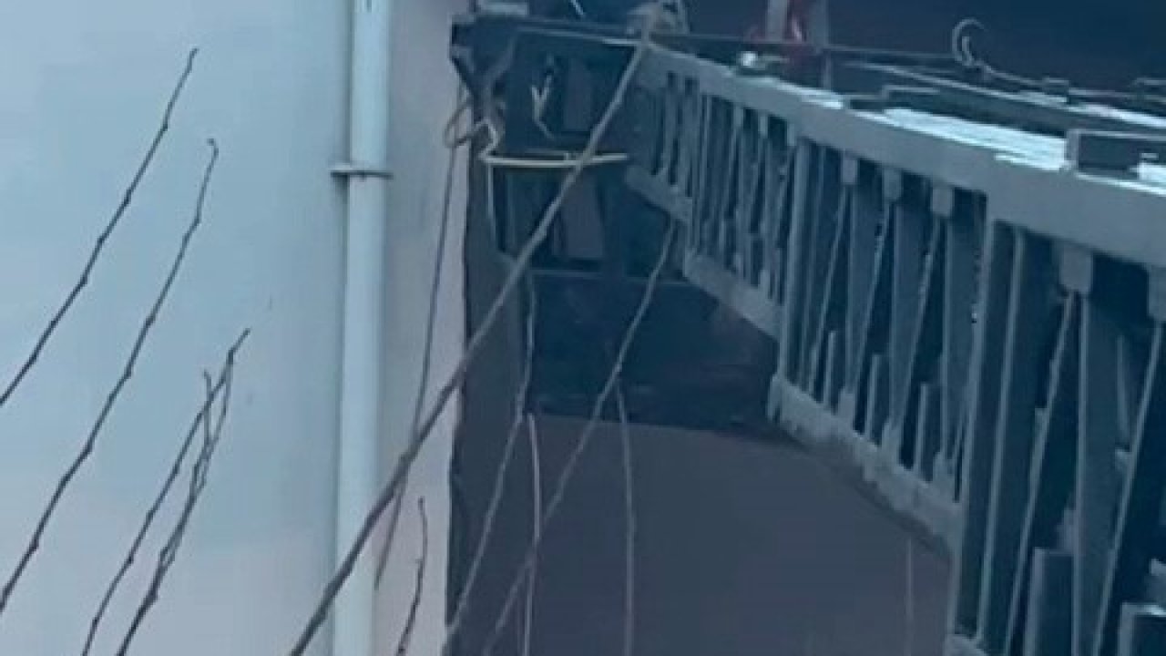 Takıldığı ipte asılı kalan güvercin kurtarıldı