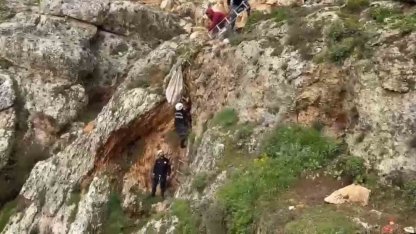 Uçurumdan düşen köpek 4 saatlik çalışmayla kurtarıldı