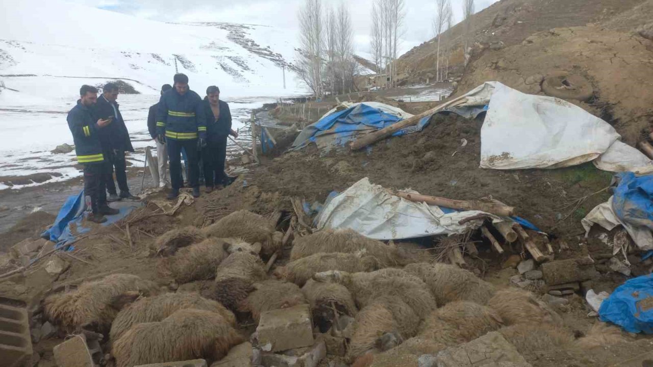 Van’da ahır çöktü, 23 küçükbaş hayvan telef oldu