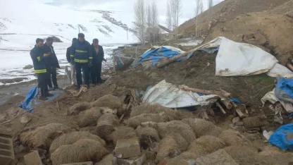 Van’da ahır çöktü, 23 küçükbaş hayvan telef oldu