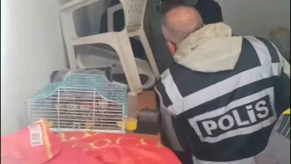 Yabancı turistlerin kredi kartlarını kötü amaçlı kullanan 4 şüpheli yakalandı