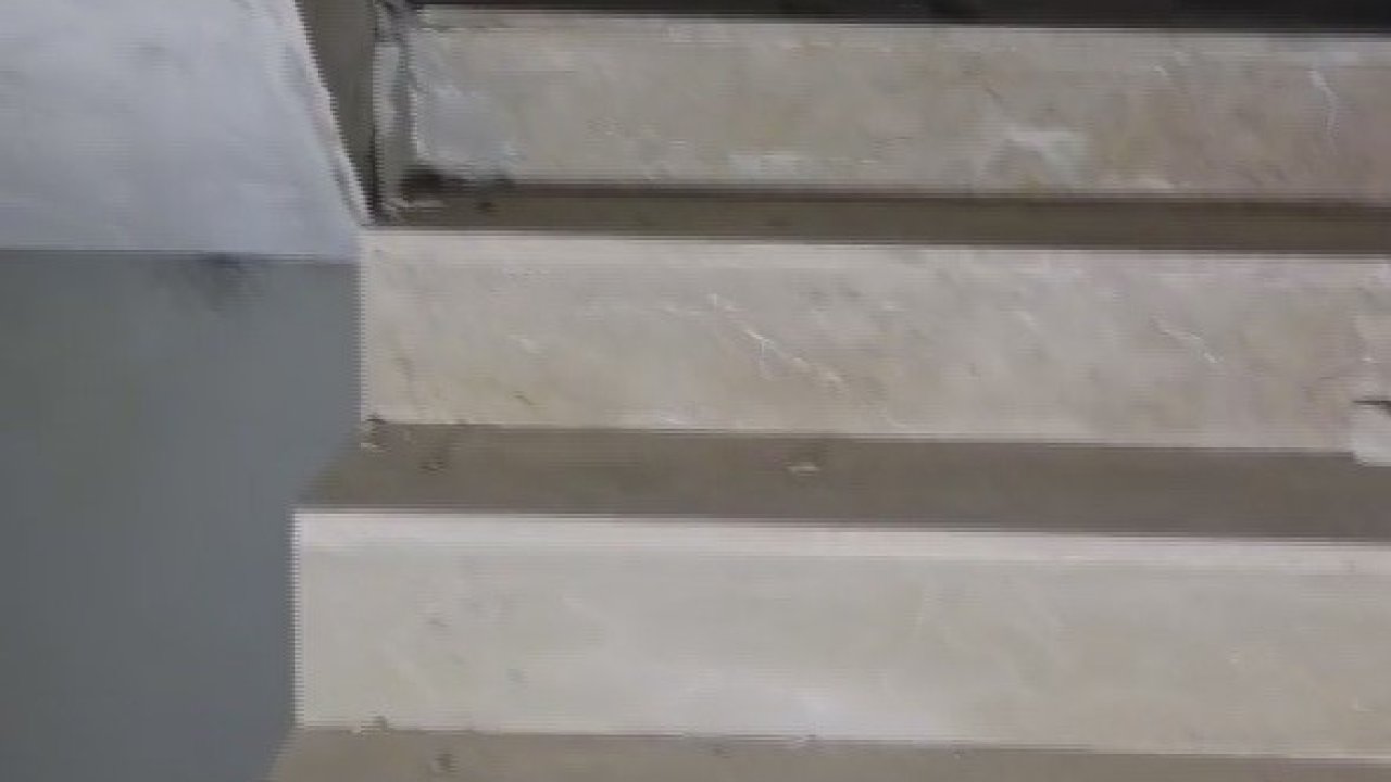 Yıkılacak binadaki yavru köpekleri kurtaran hayvansever yürekleri ısıttı