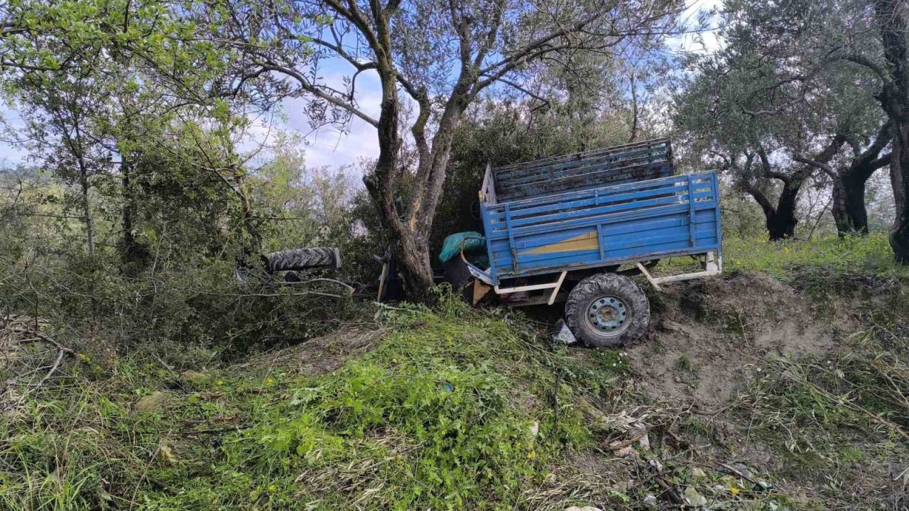 Zeytin bahçesine uçan patpatın sürücüsü öldü