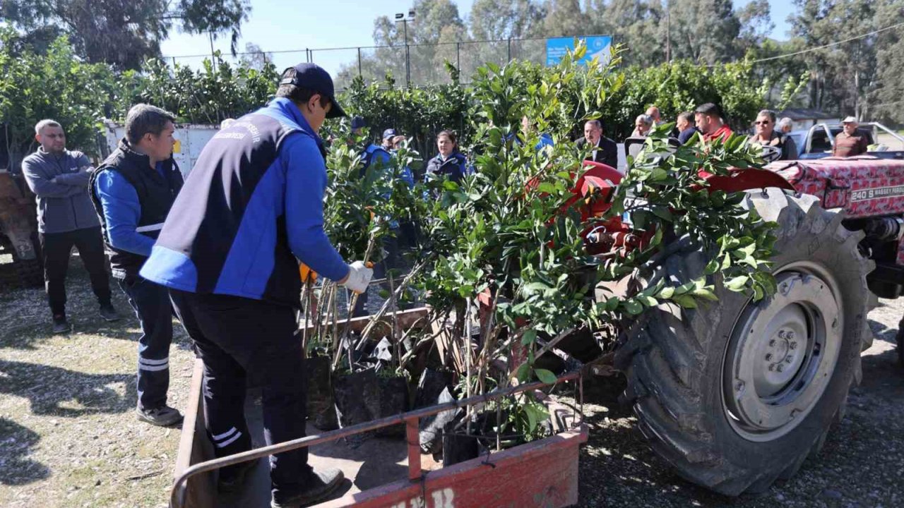 Zirai dondan zarar gören üreticilere fidan desteği