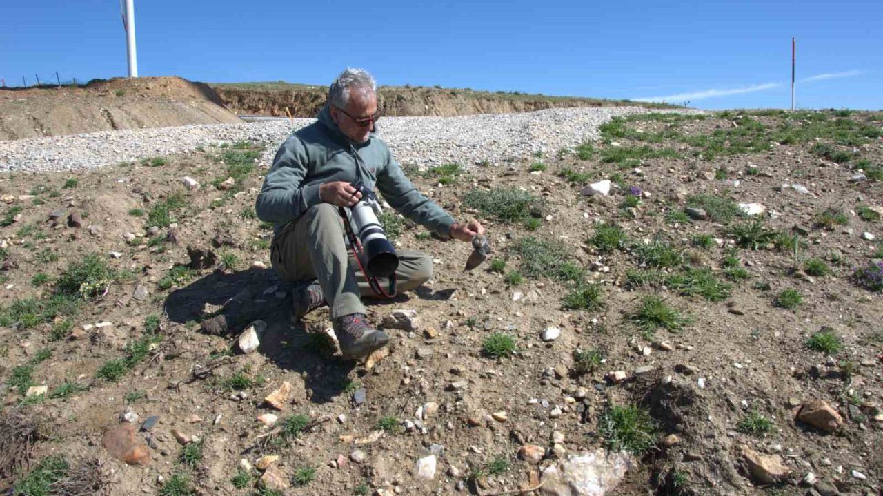 17 yeni memeli türü keşfedildi
