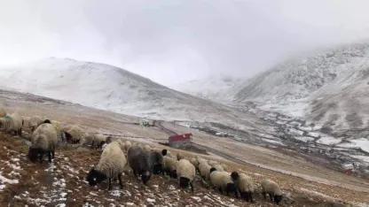 300 yıllık kullanıma müdahale tepki çekti