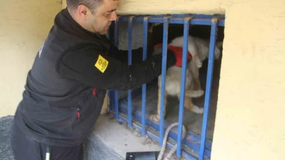 Açlıktan bitkin düşen kedi itfaiye ekiplerince kurtarıldı