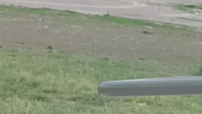 Adana’da tüfekli sopalı kavga kamerada