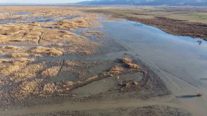 Akşehir Gölü’nde yıllardır görülmeyen oldu