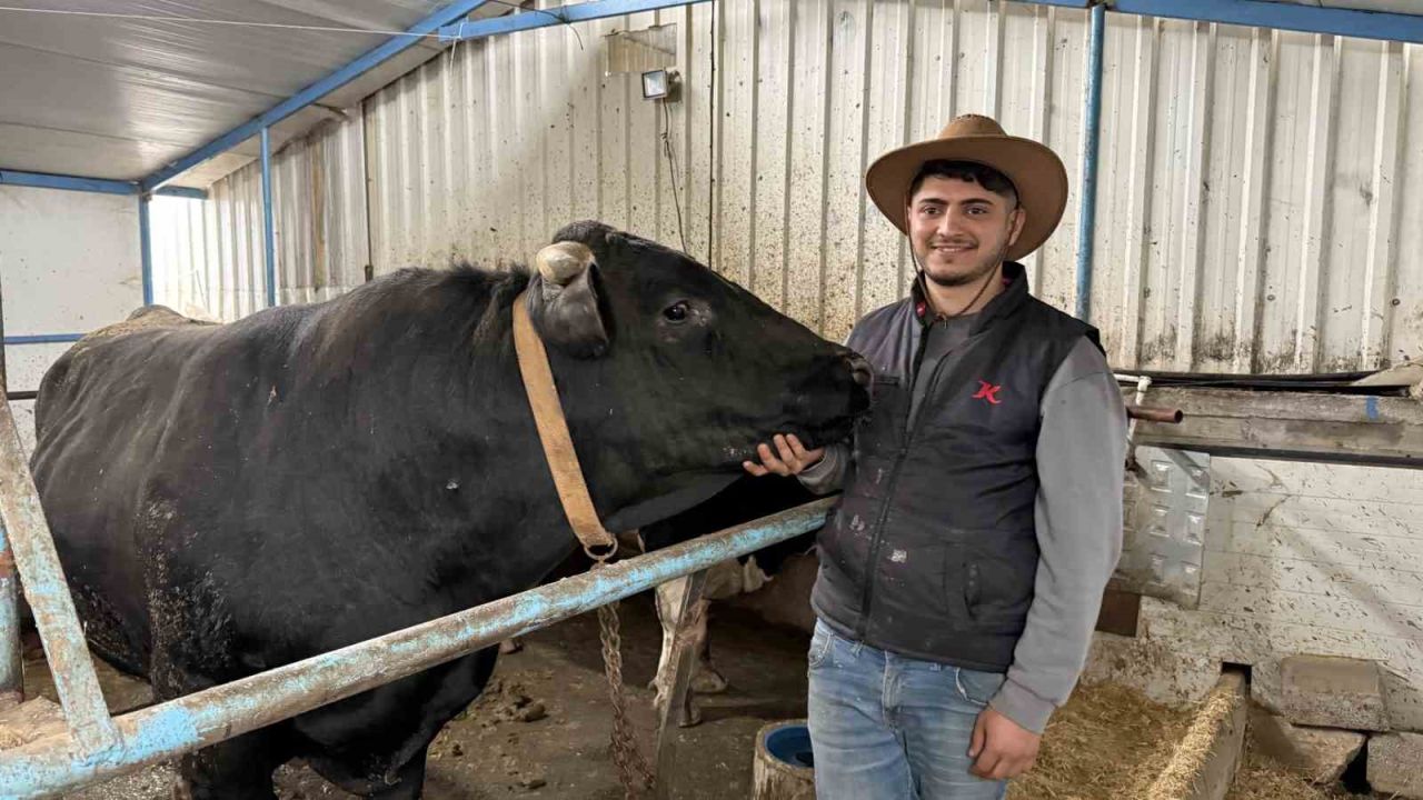Aksiliklerinden kantara çıkamıyorlar: 4 yaşındaki dev tosunları gören bir daha bakıyor