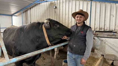 Aksiliklerinden kantara çıkamıyorlar: 4 yaşındaki dev tosunları gören bir daha bakıyor