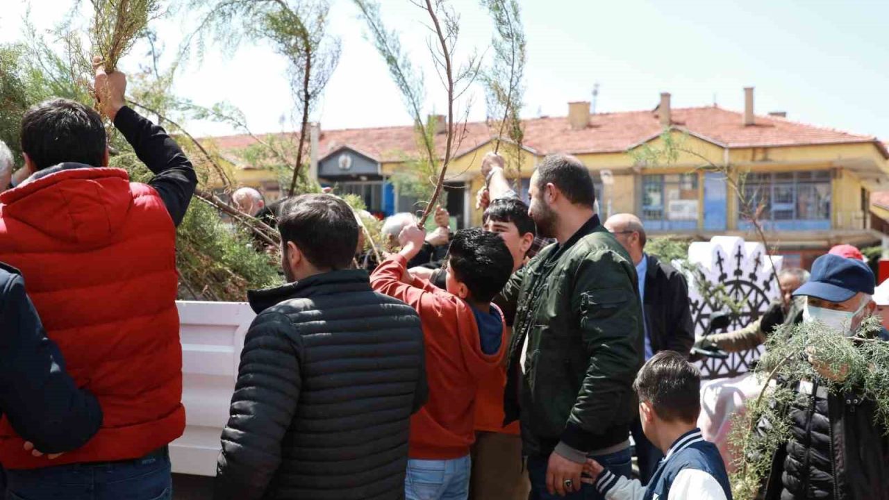 Alaca Belediyesi vatandaşlara 2 bin fidan dağıttı