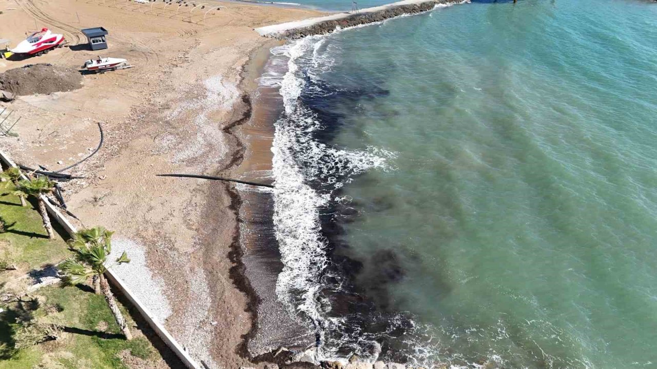 Alanya’da sahildeki siyah tabaka önce tedirgin etti, gerçek sonradan ortaya çıktı