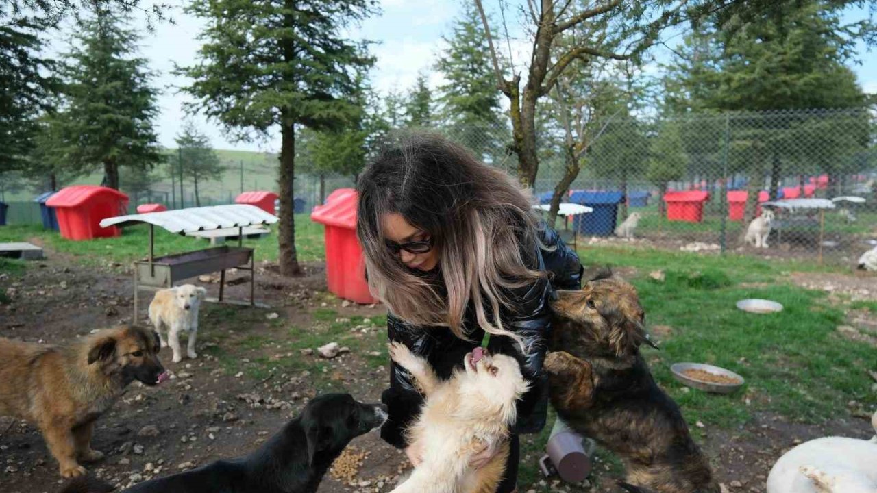 Altıeylül’de can dostlara büyük destek