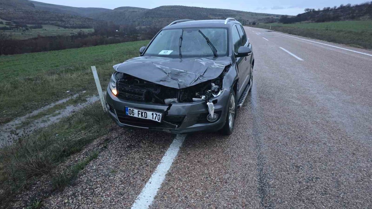 Ankara’da aracın çarptığı geyik telef oldu