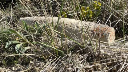 Ankara’da vatandaş mantar ararken patlamamış top mermisi buldu
