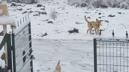 Ankara’ya nisan ayında kar yağdı
