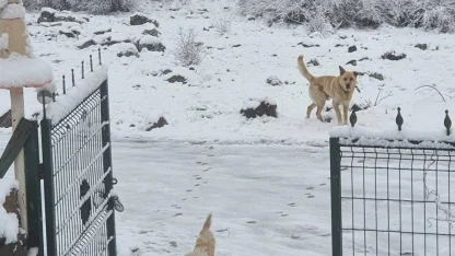 Ankara’ya nisan ayında kar yağdı