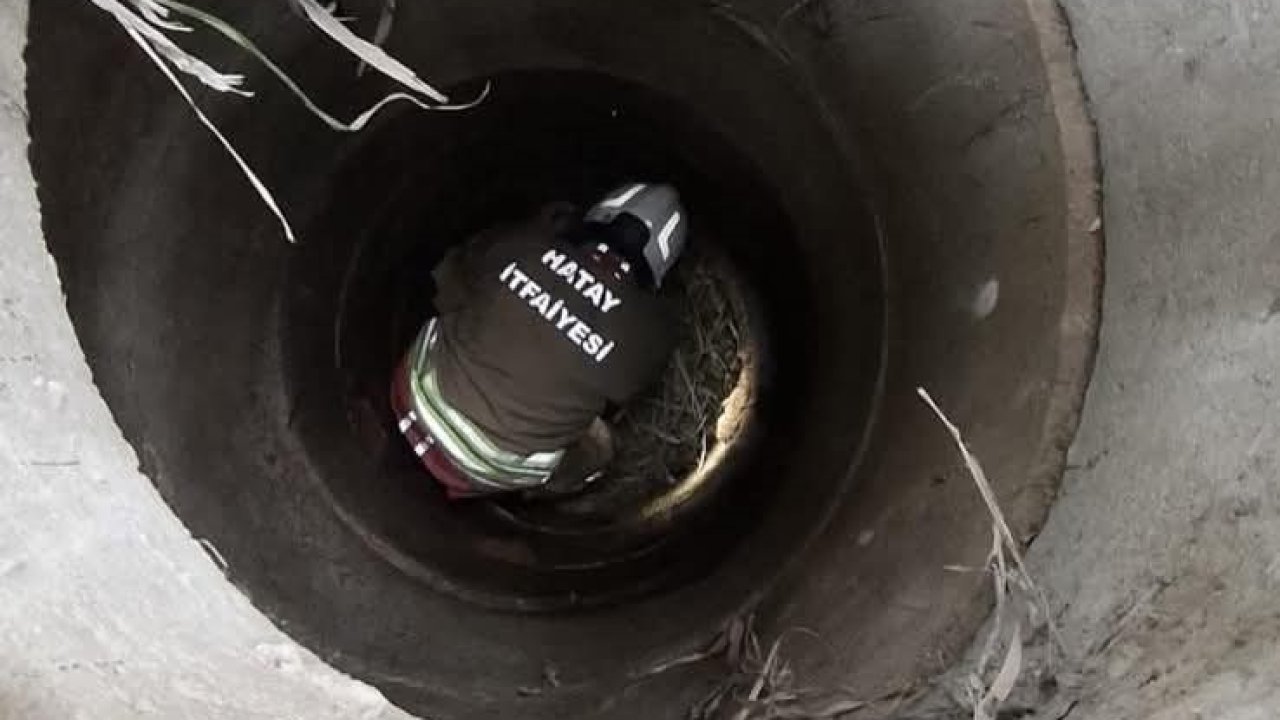 Antakya’da kuyuya düşen köpeği itfaiye kurtardı