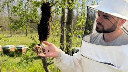 Arıcılara sahada destek